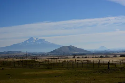 DSC_3133 (Large).JPG